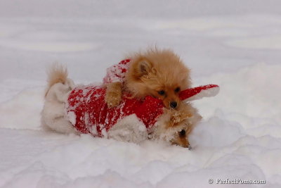 Dec18_07_146.jpg