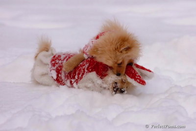 Dec18_07_147.jpg