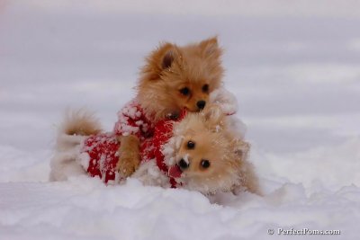 Dec18_07_149.jpg
