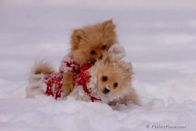 Dec18_07_150.jpg
