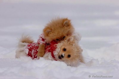 Dec18_07_151.jpg