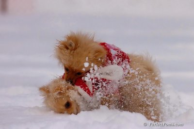 Dec18_07_153.jpg