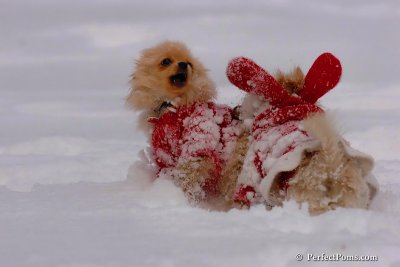 Dec18_07_154.jpg