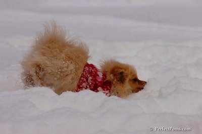 Dec18_07_157.jpg