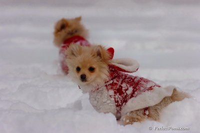 Dec18_07_158.JPG