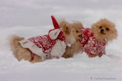 Dec18_07_162.jpg