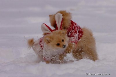 Dec18_07_163.jpg