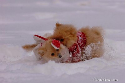 Dec18_07_164.jpg