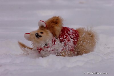 Dec18_07_165.jpg