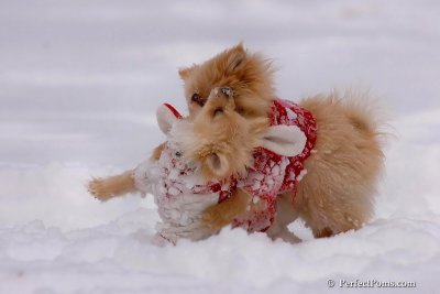 Dec18_07_166.jpg