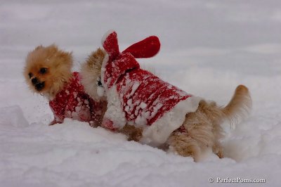 Dec18_07_168.jpg