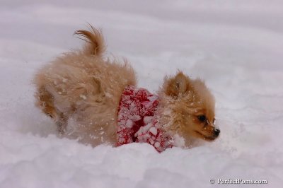 Dec18_07_174.jpg