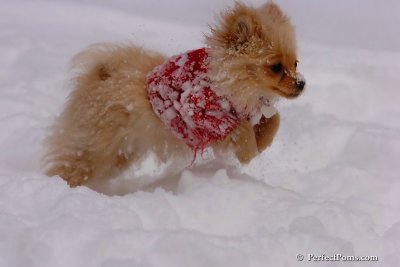 Dec18_07_176.jpg
