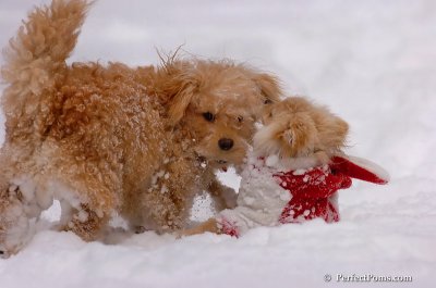 Dec18_07_178.JPG