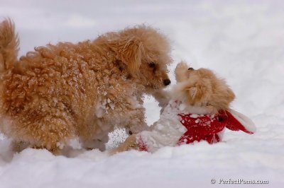 Dec18_07_179.jpg