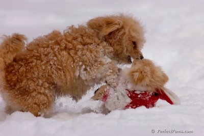 Dec18_07_180.jpg