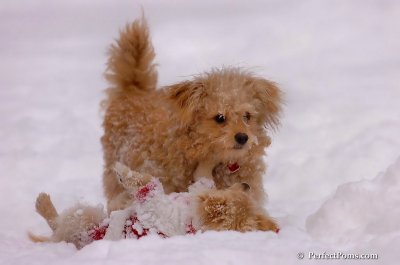 Dec18_07_185.JPG