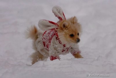 Dec18_07_194.jpg
