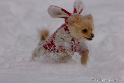 Dec18_07_196.jpg