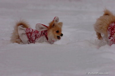Dec18_07_202.JPG
