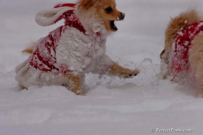 Dec18_07_203.JPG