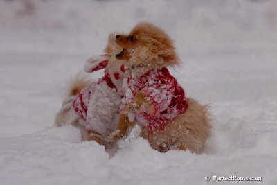 Dec18_07_205.jpg