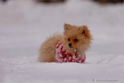 Dec18_07_206.jpg