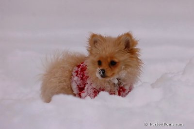 Dec18_07_212.jpg