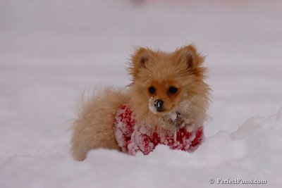 Dec18_07_213.jpg