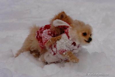Dec18_07_215.jpg