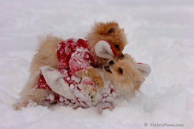 Dec18_07_220.JPG