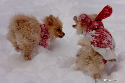 Dec18_07_222.JPG