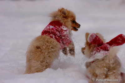 Dec18_07_224.JPG