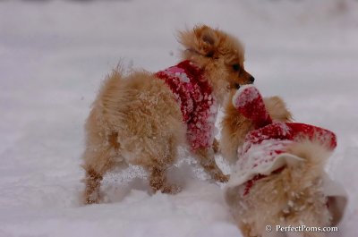 Dec18_07_225.JPG
