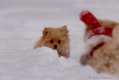 Dec18_07_227.jpg