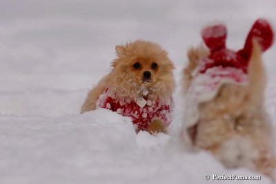 Dec18_07_228.jpg