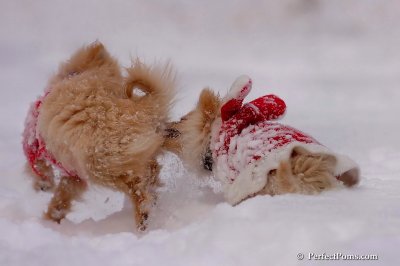 Dec18_07_230.jpg