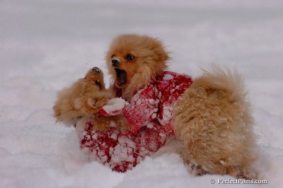 Dec18_07_232.jpg