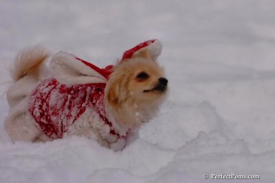 Dec18_07_234.jpg
