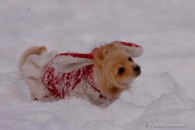 Dec18_07_235.jpg