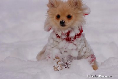 Dec18_07_236.jpg