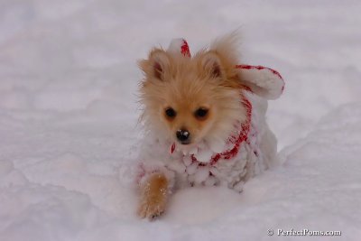 Dec18_07_237.jpg