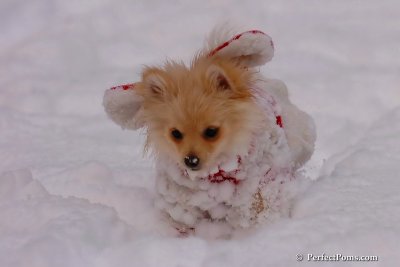 Dec18_07_238.jpg