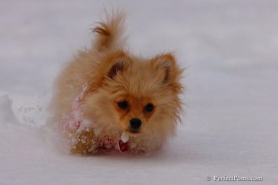 Dec18_07_239.jpg
