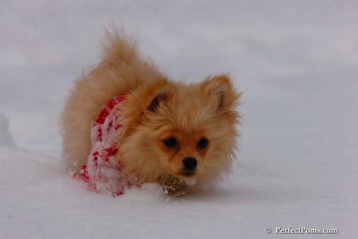 Dec18_07_240.jpg
