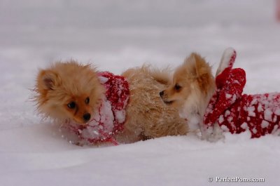 Dec18_07_243.JPG