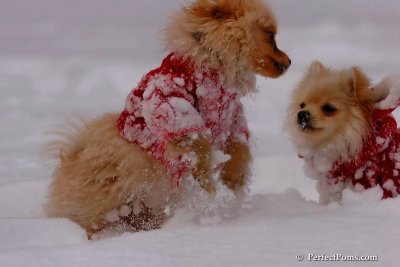 Dec18_07_244.jpg