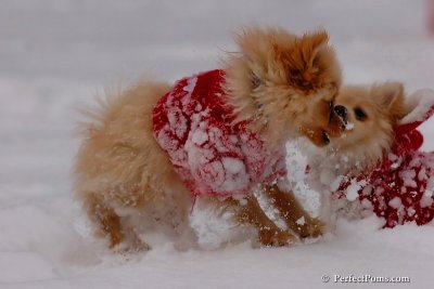 Dec18_07_245.jpg