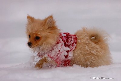 Dec18_07_247.jpg