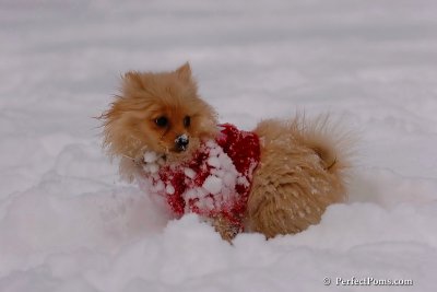Dec18_07_250.jpg